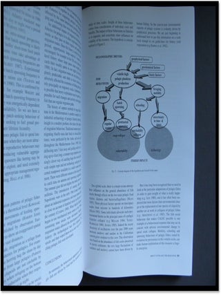 International Symposium on Middle-Sized Pelagic Fish Scientia Marina, Volume 59 Numero 3 - 4
