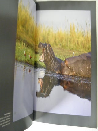 Ten Days on the Chobe: A Photographic Journey at the Crossroads of History