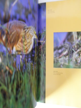Ten Days on the Chobe: A Photographic Journey at the Crossroads of History