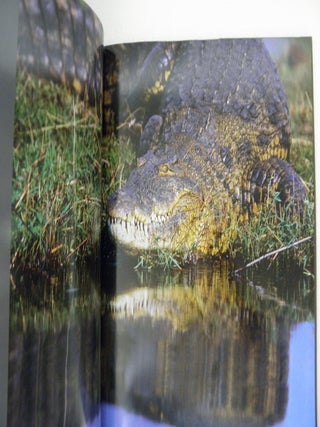 Ten Days on the Chobe: A Photographic Journey at the Crossroads of History