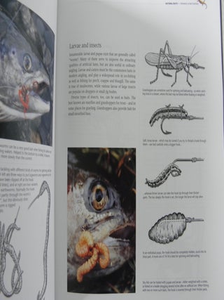The Complete Book of Spinning and Baitcasting