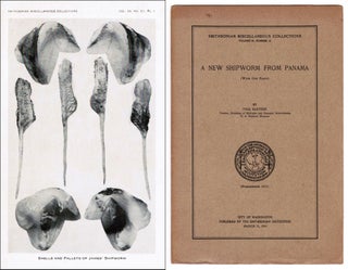Item #007270 A New Shipworm from Panama. Paul Bartsch