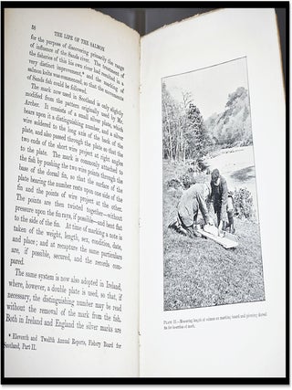 The Life of the Salmon: With Reference More Especially to the Fish in Scotland