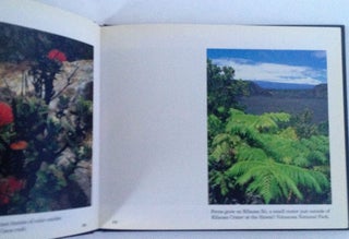 Big Island; Images of the Island of Hawaii