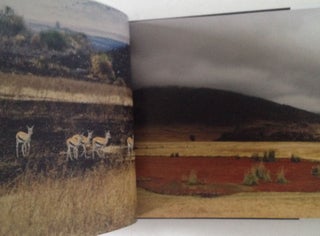 African Odyssey: Travels in Tanzania