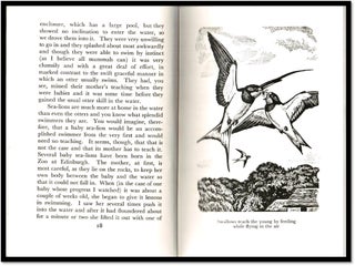 Zoo-Man Stories
