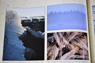 Canada's Northwest Territories: A Land of Diversity