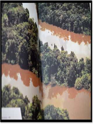 Retratos Do Brasil (Portraits of Brazil)