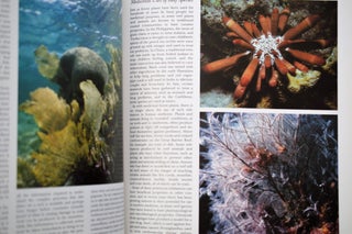 The Greenpeace Book of Coral Reefs