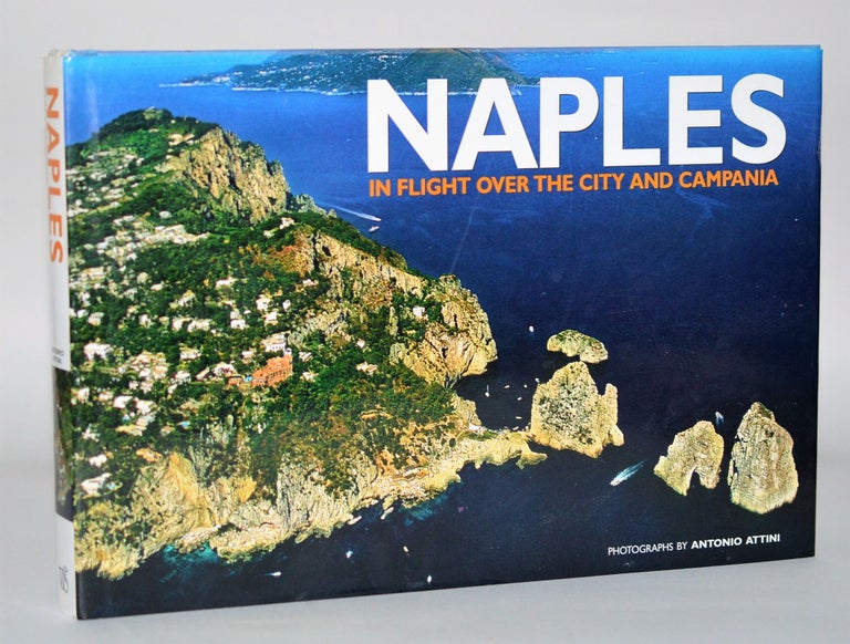 Item #010537 Naples. In Flight Over the city and Campania. Ediz. illustrata (Italia emozioni dal cielo). Raffaella Piovan.
