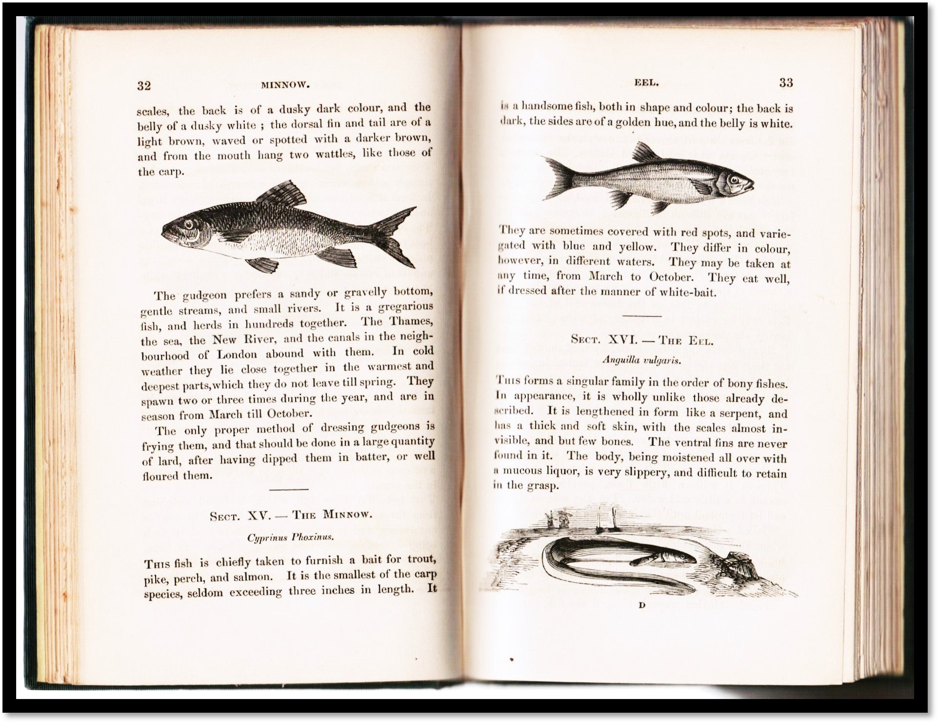 The Angler's Assistant; Comprising Practical Directions for Bottom-Fishing,  Trolling, &c., ….. a Descriptive Account of the Habits and Haunts of Fish,  …..Streams in England, William Carpenter
