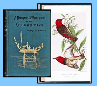 Item #010740 A Naturalist's Wanderings in the Eastern Archipelago. A Narrative of Travel and...