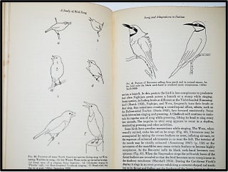 A Study of Bird Song.