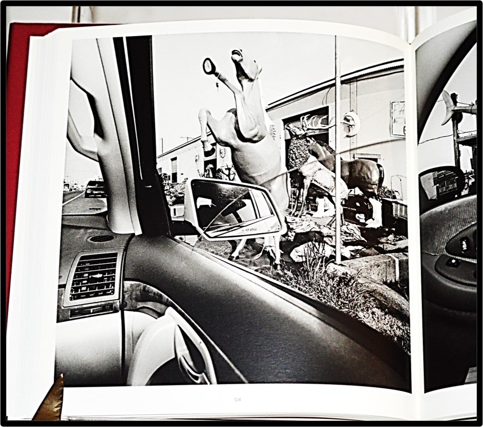 Lee Friedlander: America by Car | Fraenkel Gallery | First Edition 