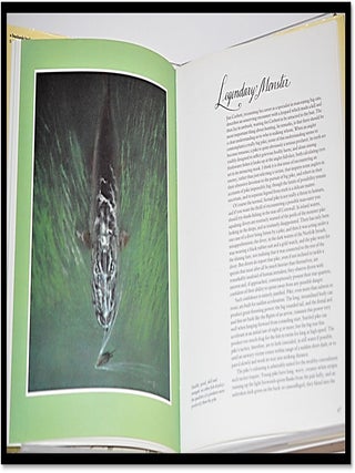 The New Compleat Angler