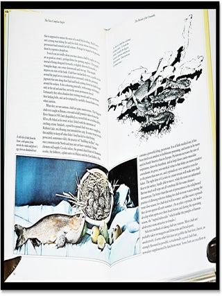 The New Compleat Angler