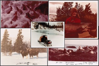Item #013705 Alaska: Wildlife & Landscape Photos c1970