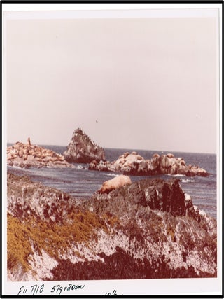 Alaska: Wildlife & Landscape Photos c1970