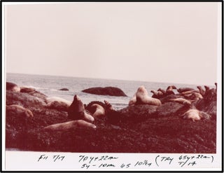 Alaska: Wildlife & Landscape Photos c1970