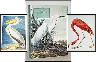 Item #013744 John James Audubon: The Watercolors for the Birds of America. Annette Blaugrund