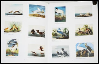 John James Audubon: The Watercolors for the Birds of America
