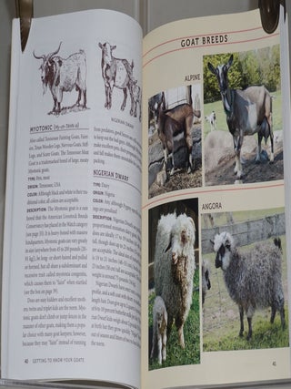 The Backyard Goat: An Introductory Guide to Keeping and Enjoying Pet Goats, from Feeding and Housing to Making Your Own Cheese