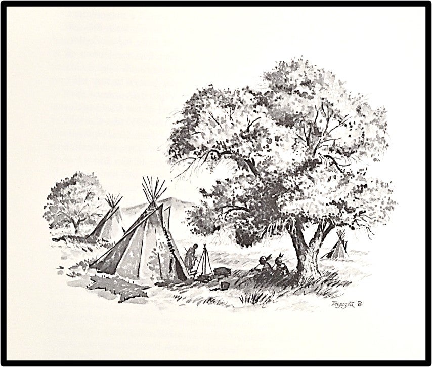 John Muir Laws webinar sketch notes: drawing birds of prey - Wild Mindful  Life