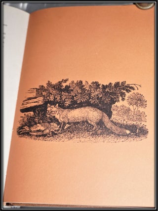 The Fox At the Manger