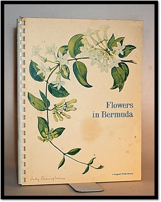Flowers in Bermuda