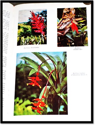 Bromeliads in Color and Their Culture