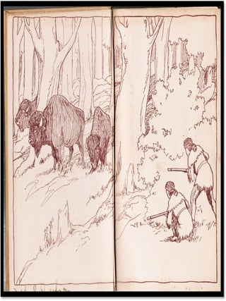 The Pioneer Boys of the Missouri: or In the Country of the Souix