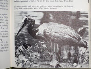 Island of Adventure A Naturalist Explores a Gulf Coast Wilderness