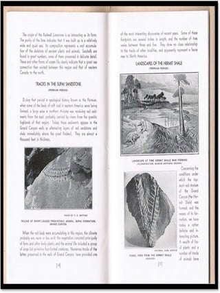 Ancient Landscapes of the Grand Canyon Region. The Geology of Grand Canyon, Zion, Bryce, Petrified Forest, and Painted Desert