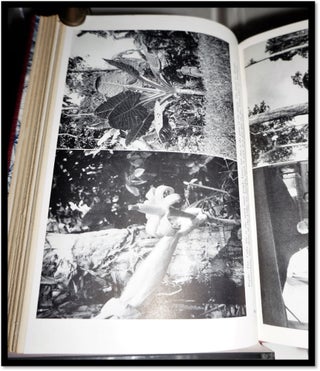 Garden Islands of the Great East. Collecting Seeds from the Philippines and Netherlands India in the Junk "Cheng Ho'