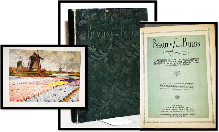 Item #015152 Beauty from Bulbs, A Treatise on the Leading Varieties of Bulbs Suitable For Outdoor and Indoor Culture and of Proven Merit for American Gardens. John Scheepers Inc.