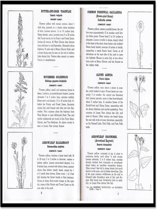 101 Wildflowers of Glacier National Park Printed in cooperation with the National Park Service