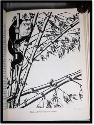 Ivan Sanderson's Book of Great Jungles