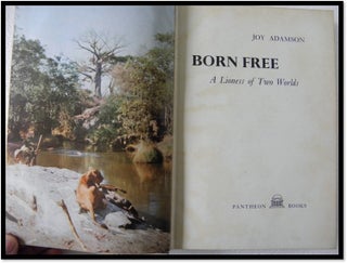 Born Free: A Lioness of the Two Worlds.