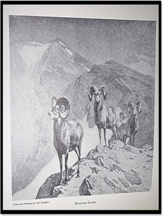 Records of North American Big Game