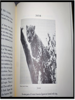 Records of North American Big Game