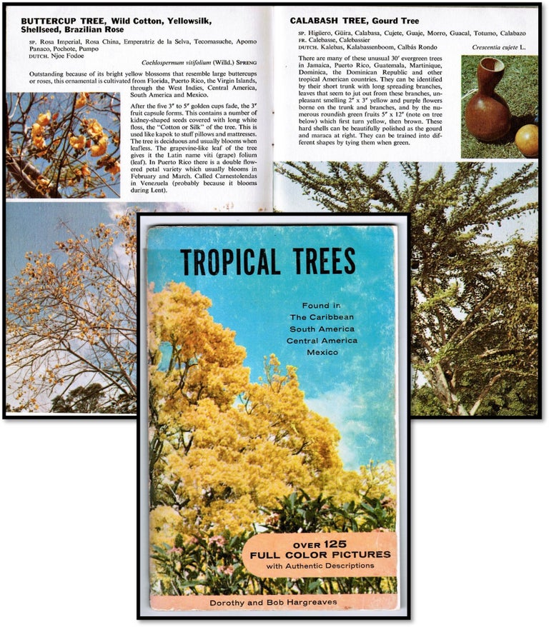 Item #15417 Tropical Trees: Found in The Caribbean, South American, Central America, Mexico. Dorothy and Bob Hargreaves.