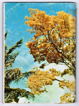 Tropical Trees: Found in The Caribbean, South American, Central America, Mexico