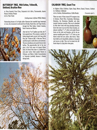 Tropical Trees: Found in The Caribbean, South American, Central America, Mexico