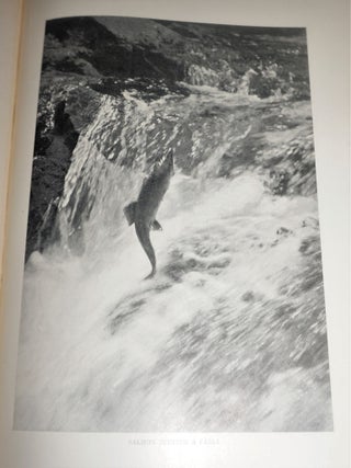 American Food and Game Fishes - A Popular Account of All the Species Found in America North of the Equator, With Keys for Ready Identification, Life Histories, and Methods of Capture