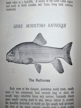 American Food and Game Fishes - A Popular Account of All the Species Found in America North of the Equator, With Keys for Ready Identification, Life Histories, and Methods of Capture