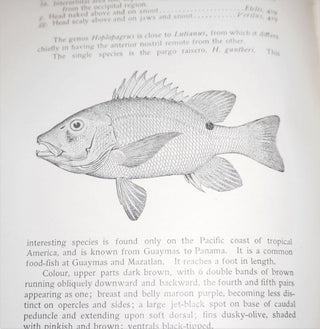 American Food and Game Fishes - A Popular Account of All the Species Found in America North of the Equator, With Keys for Ready Identification, Life Histories, and Methods of Capture