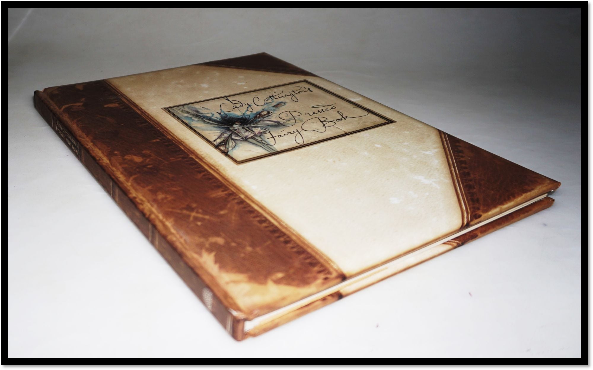 Lady Cottington's Pressed Fairy Book by Terry Jones on Blind Horse Books