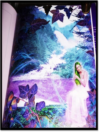 The World of Fairies