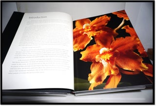 Orchid: The Fatal Attraction