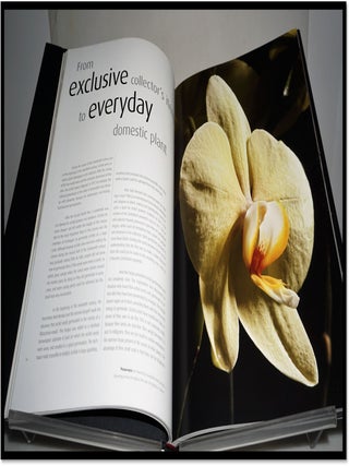 Orchid: The Fatal Attraction